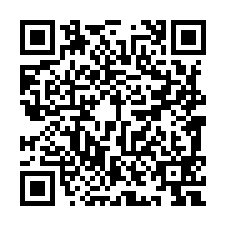 QR code for YIL9993