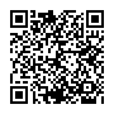 QR code for YJD2993