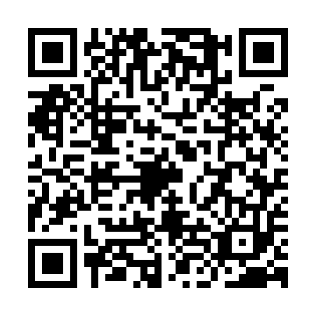 QR code for YLG9539