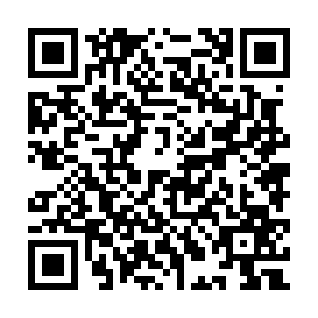 QR code for YLN0675