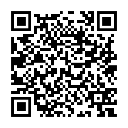 QR code for YNK9334