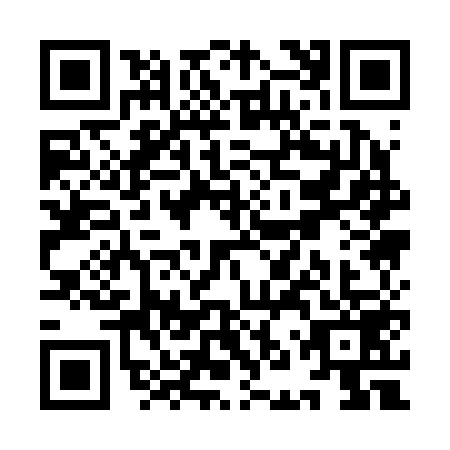 QR code for YNQ2595