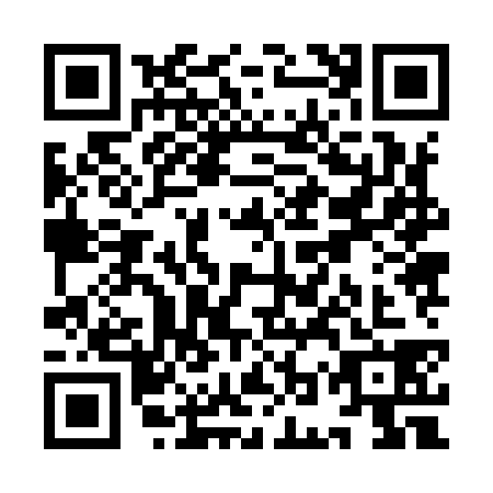 QR code for YOZ9387