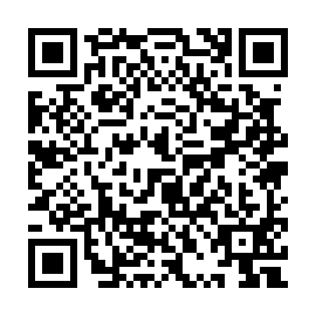 QR code for YPA0919