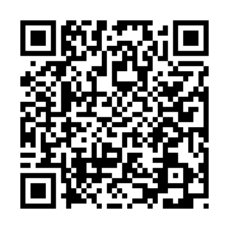QR code for YPZ2538