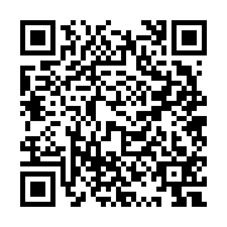 QR code for YQB6133