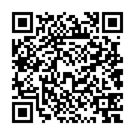 QR code for YQF0381