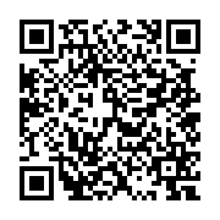QR code for YSG0658