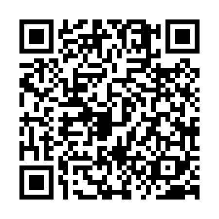 QR code for YSH0699