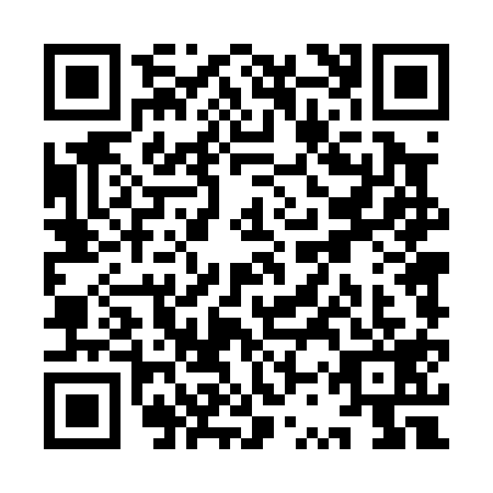 QR code for YST0197