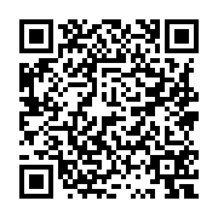 QR code for YSY9541