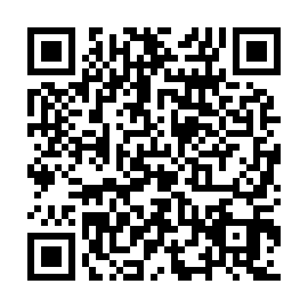 QR code for YTZ9111