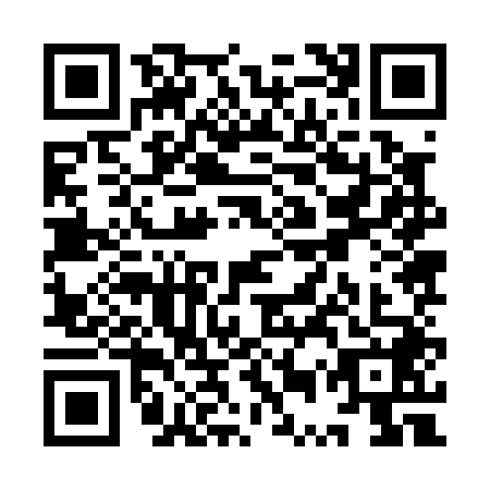 QR code for YUZ0489