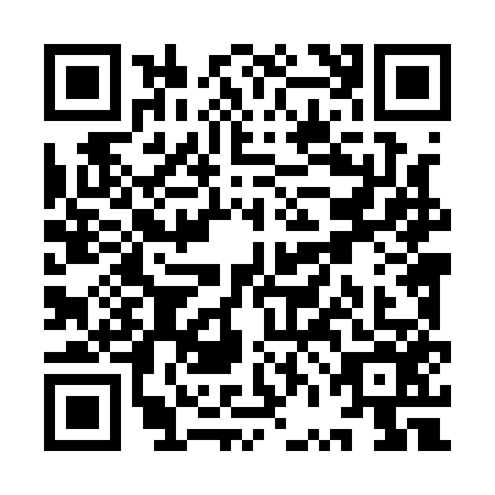 QR code for YVL1565