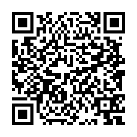 QR code for YVL4729
