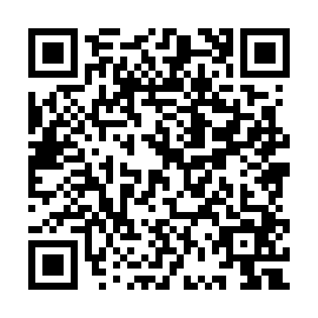 QR code for YVX7441
