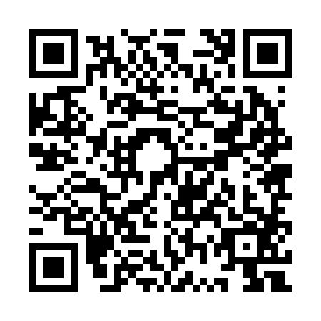 QR code for YWZ2867
