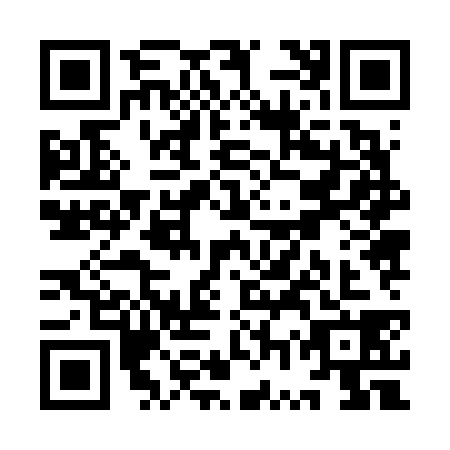 QR code for YWZ6389