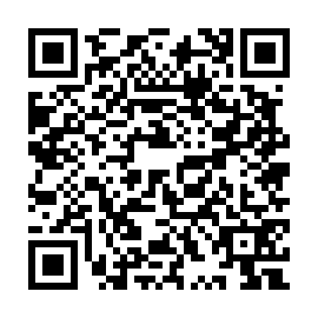 QR code for YXE4729