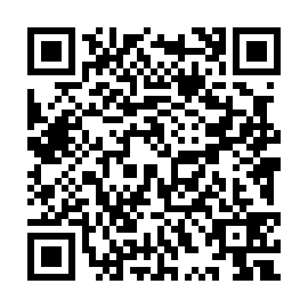 QR code for YXL0390