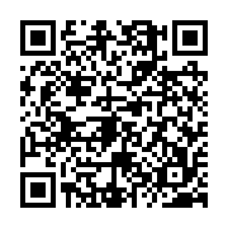 QR code for YXW2161