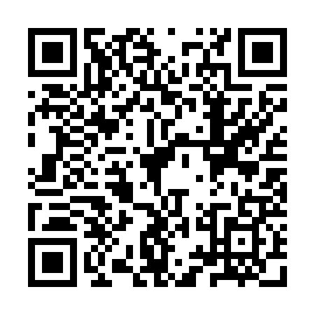 QR code for YYA2291