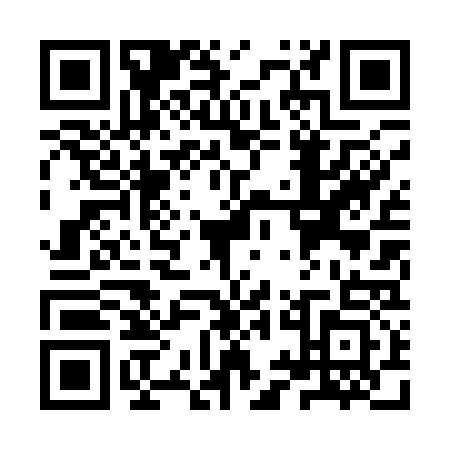 QR code for YYL1333