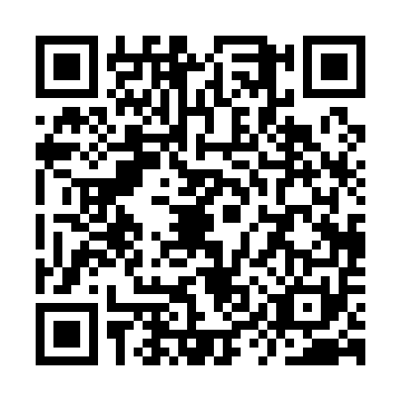 QR code for YYP1510