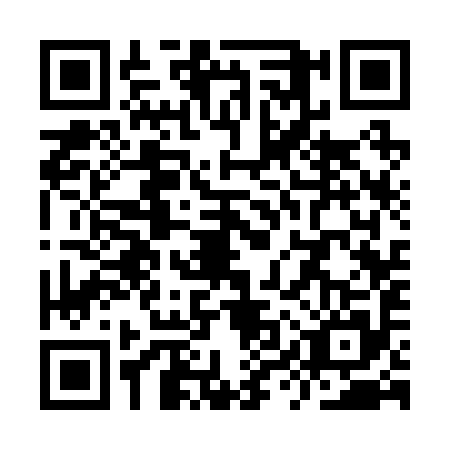 QR code for YYS2953