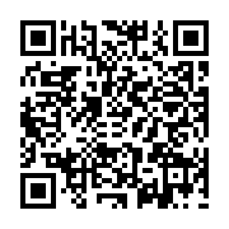 QR code for YYY1491