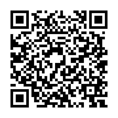 QR code for YYZ4411