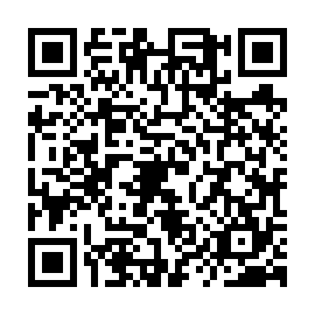QR code for YYZ6741