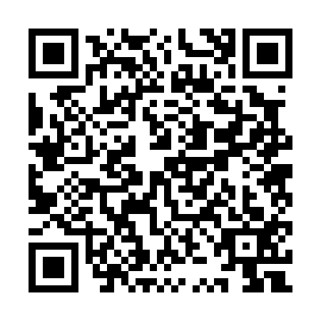 QR code for YZB0133