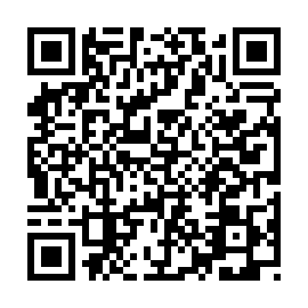 QR code for YZD0091