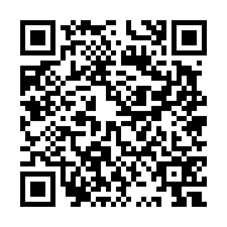 QR code for YZE4767