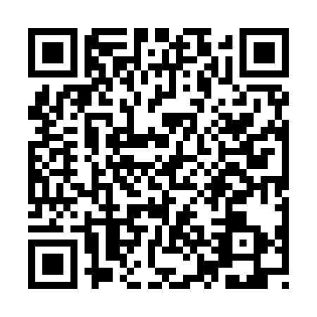 QR code for YZE9339