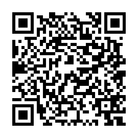 QR code for YZP4195