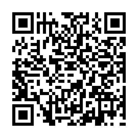 QR code for YZP6638