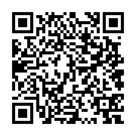 QR code for YZV0307