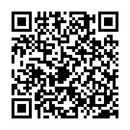 QR code for YZZ2238