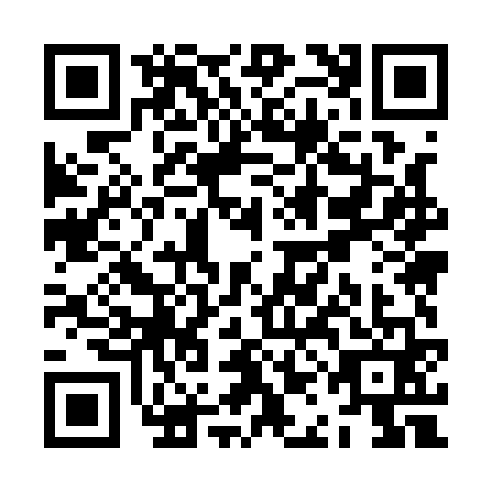 QR code for ZAM1611