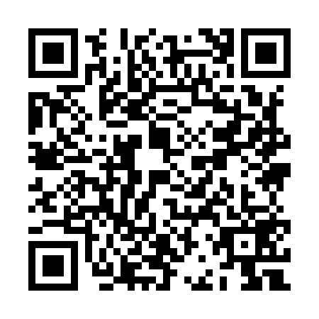QR code for ZBY9593