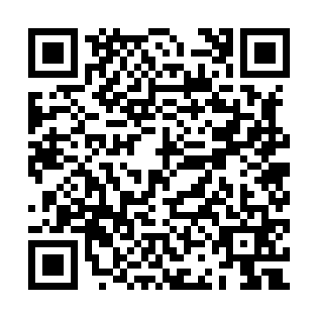 QR code for ZCG8611