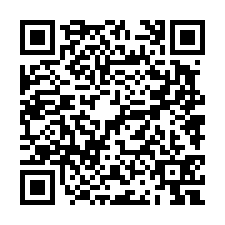 QR code for ZCN4317