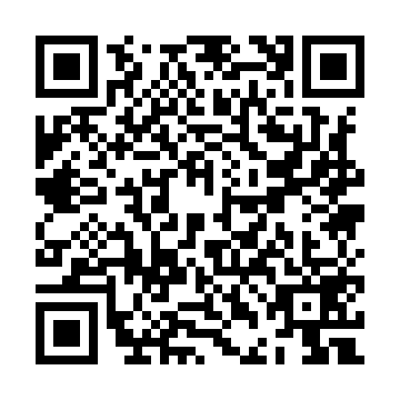 QR code for ZDA9595