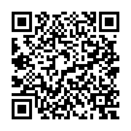QR code for ZDI0539