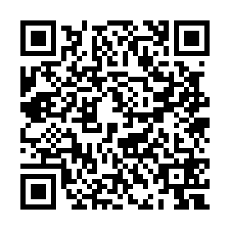 QR code for ZDK0689
