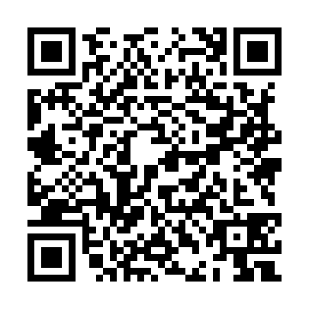 QR code for ZDM9389