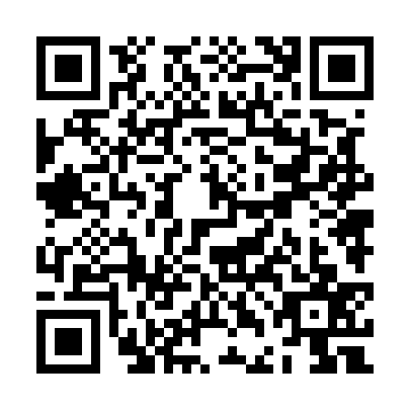 QR code for ZDN5371