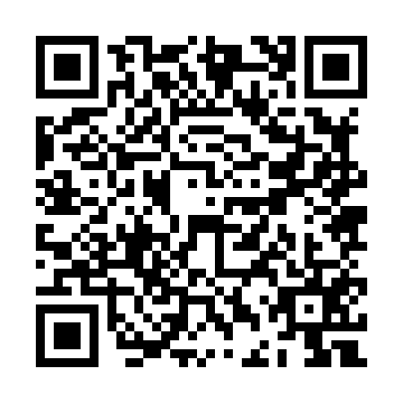 QR code for ZDZ8553